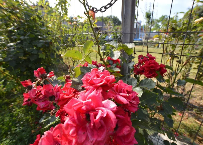 Casa Morena Appartement *